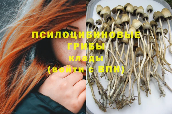круглые Алексин