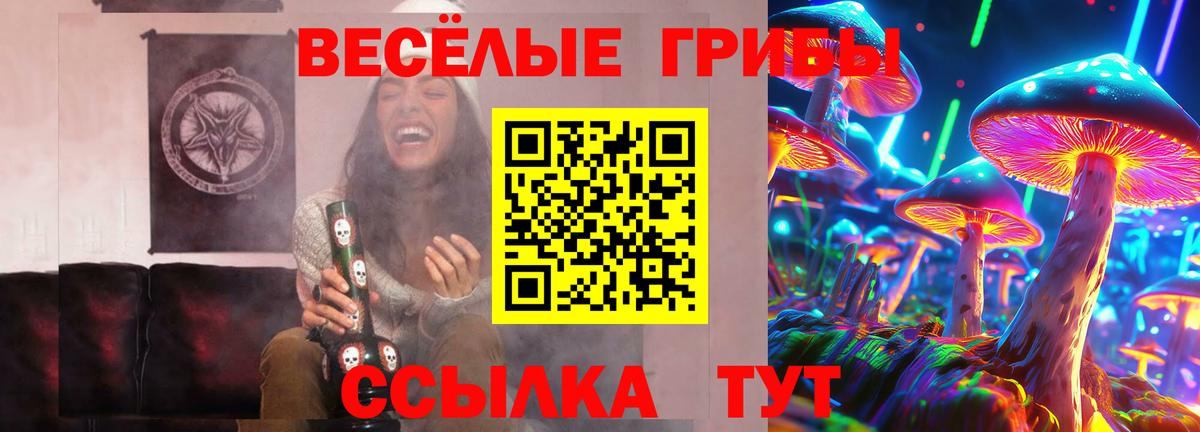 купить  цена  Галлюциногенные грибы MAGIC MUSHROOMS  Вход с VPN  Бирск 